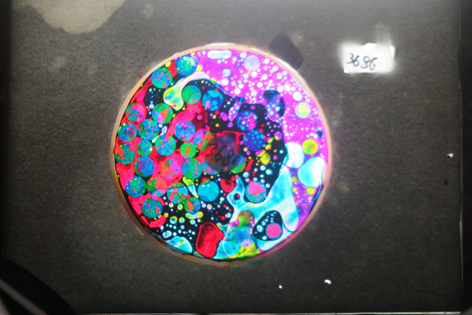 BV3686 bubble vision oil wheel